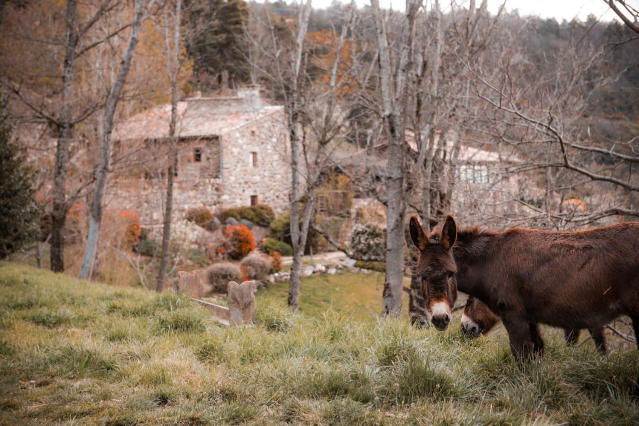 Maison D'Hotes Le Hameau De La Mure Saint-Laurent-du-Pape Екстер'єр фото